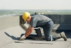 Best Asphalt Shingle Roofing  in Shackle Island, TN